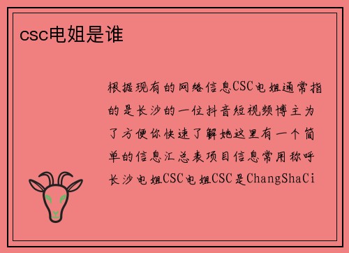 csc电姐是谁